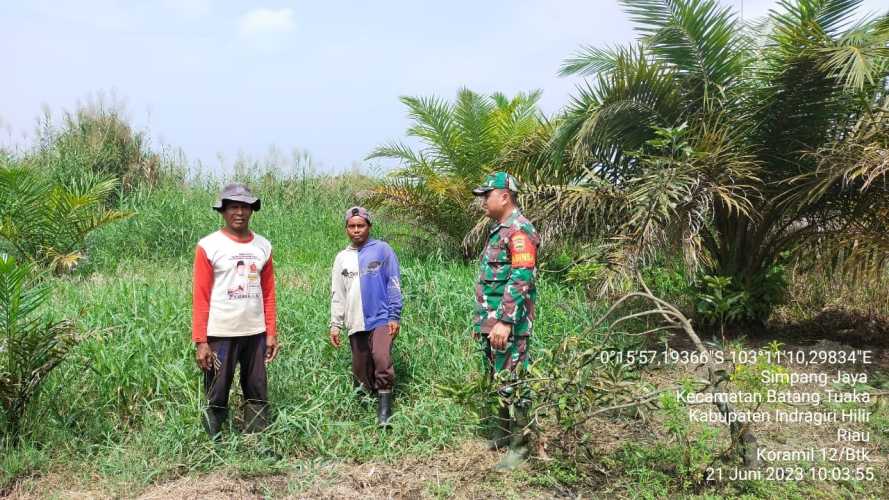 Babinsa Gerakkan Simpatisan Anti Karlahut