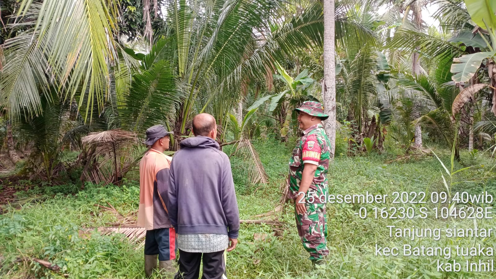 Babinsa Sungai Rawa Bantu warga Menjaga Eko Agriculture