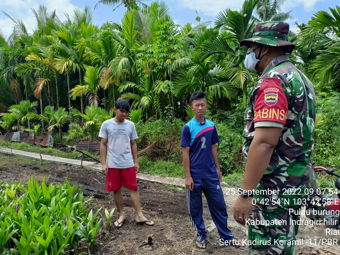 Serda Kadirus Babinsa Koramil 11/Pulau Burung Berikan Pola  Menata Lahan yang Baik