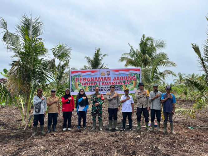 Kapolsek Concong bersama unsur Forkopimcam melaksanakan kegiatan Penanaman Jagung Kuartal IV di Desa Sungai Berapit,