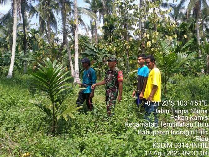 Babinsa Sialang Perketat Pengawasan Karlahut Lewat Patroli dan Sosialisasi