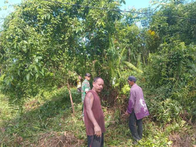 Babinsa Sungai Beringin Intensifkan Patroli Tapal Batas untuk Cegah Sengketa Lahan Perkebunan Warga