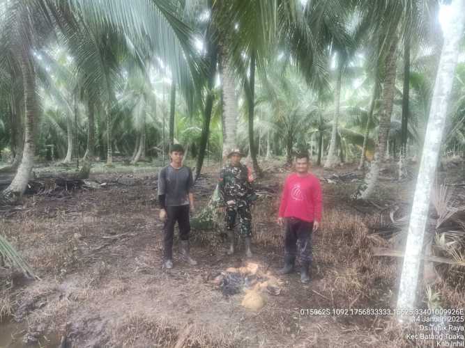 Babinsa Koramil 12/Batangtuaka Selamatkan Bumi dari Karhutla