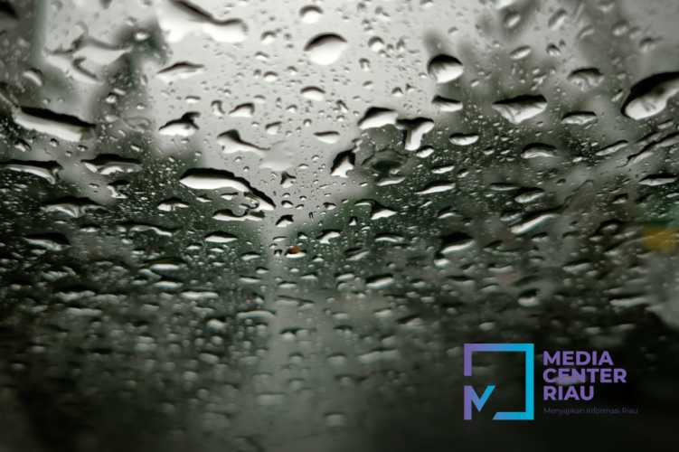 BMKG: Fenomena Gelombang Kelvin dan Konvergensi Angin Tingkatkan Potensi Hujan di Riau
