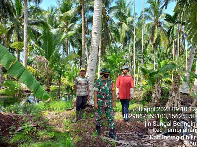 Sertu Syafriadi Koto Cegah Prioritaskan Pencegahan Karlahut