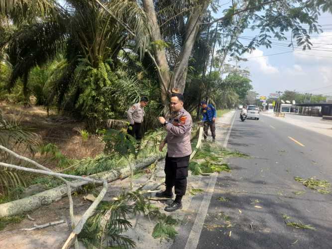 Gerak Cepat! Personel Pos Pam Sei Bejangkar Polres Batu Bara Evakuasi Pohon Tumbang di Jalinsum