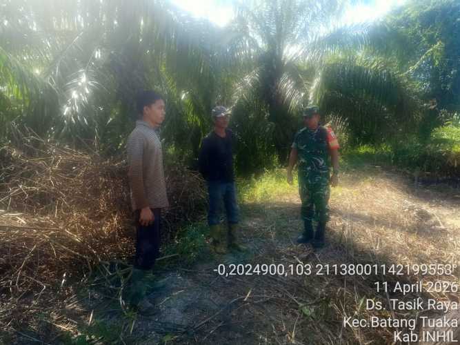 Babinsa Sungai Raya Pertegas Batas Perkebunan Warga Lewat Patroli Terpadu