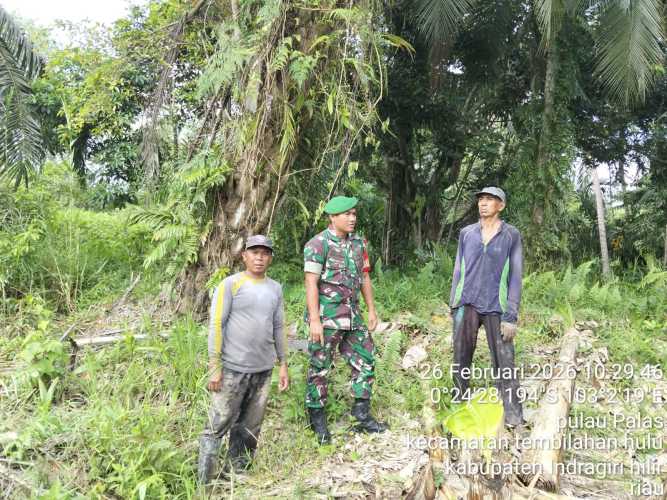Babinsa Pulau Palas Intensifkan Screening dan Pemantauan Wilayah Rawan Karhutla, Pastikan Desa Tetap Aman dari Ancaman Kebakaran