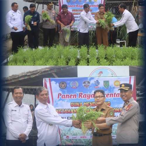 Panen Raya Semarakkan Puncak Hari Bhakti Pemasyarakatan ke-61 di Lapas Tembilahan
