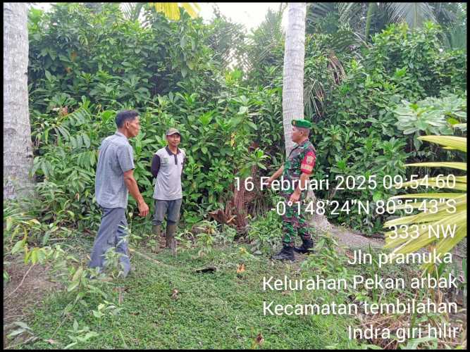 Babinsa Koramil 01/TBH Pantau Kawasan Rawan Karhutla di Pekan Arba, Situasi Aman Terkendali