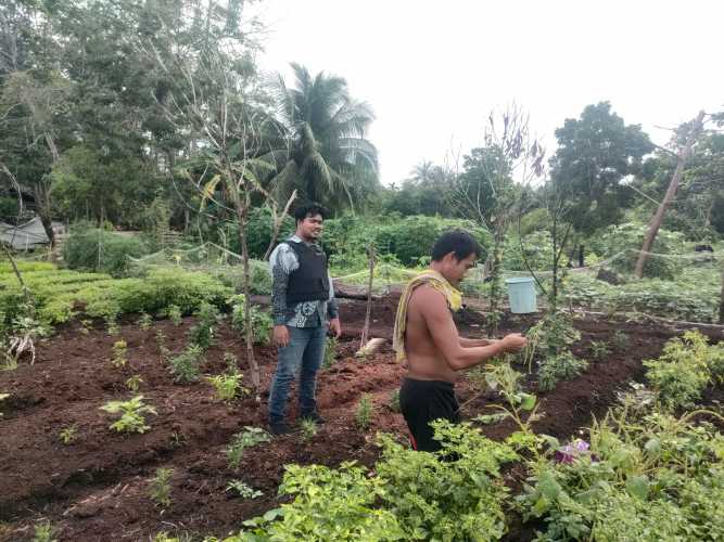 Wujud Nyata Polri Dalam Ketahanan Pangan: Personil Polsek Pulau Burung Tinjau Perkembangan Tanaman Cabe Program Asta Cita