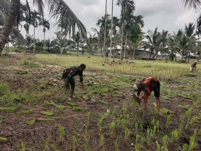 Serda Sukiran  Lanjutkan Progres di Lahan Ketahanan Pangan