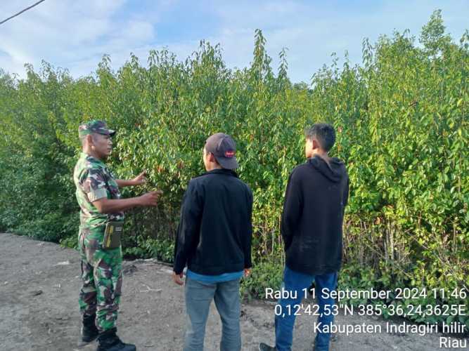 Babinsa Pulau Burung Terus Menjalankan Patroli Dialogis Pencegahan Karhutlah