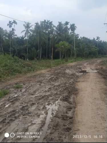 Jalan Menuju Desa Kayu Raja Kecamatan Keritang Minim Perhatian