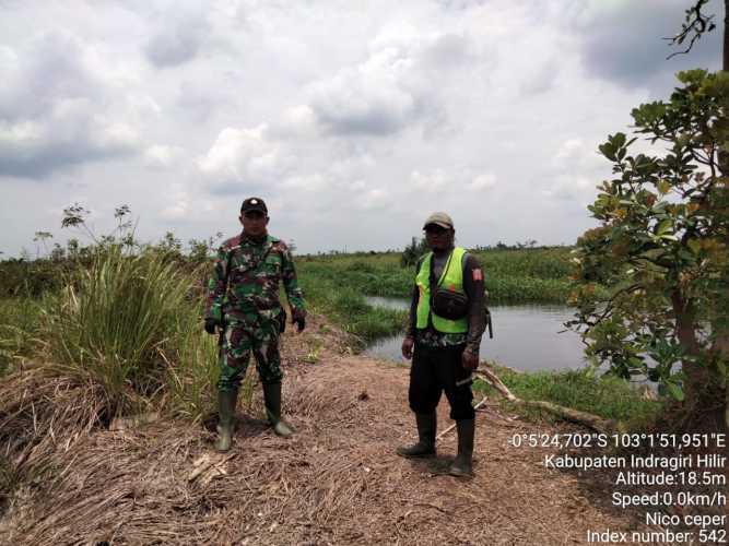 Babinsa Koramil 01/Tbh Laksanakan Patroli Cegah Pembakaran Liar di Wilayah Perkebunan Tembilahan Barat