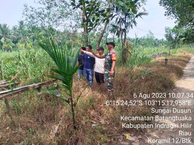 Babinsa Sosialiasi Menjaga Green Patroli