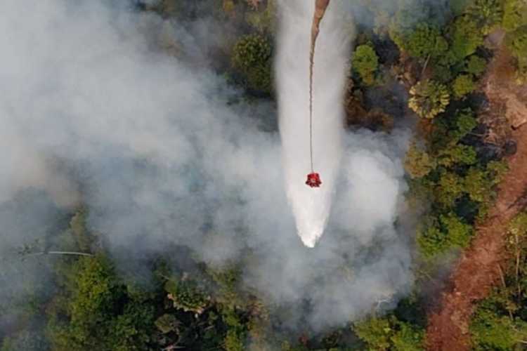 Titik Api Karhutla di Inhil Kembali Membara, Heli Water Bombing Bergerak Cepat