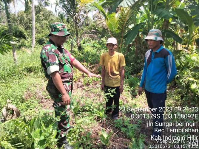 Sertu  Safryadi Koto Gencarkan Patroli Karlahut