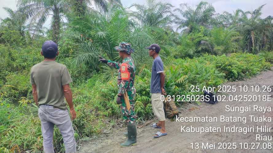 Babinsa Koramil 12/Batang Tuaka Patroli Cegah Karhutla di Desa Sungai Raya