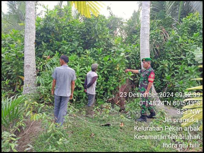 Babinsa Koramil 01/Tbh Kodim 0314/Inhil Stop Karlahut, Selamatkan Lingkungan