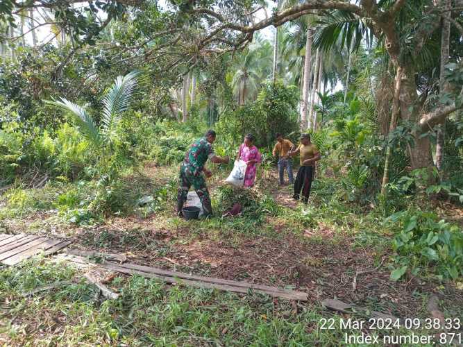 Menambah Pahala Bulan Puasa, Babinsa Igal Bantu Panen di Kebun Warga