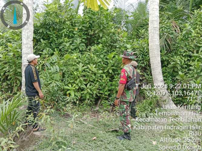 Babinsa Koramil 01/Tembilahan  Lakukan Patroli Karhutla untuk Jaga Ekosistem Setempat