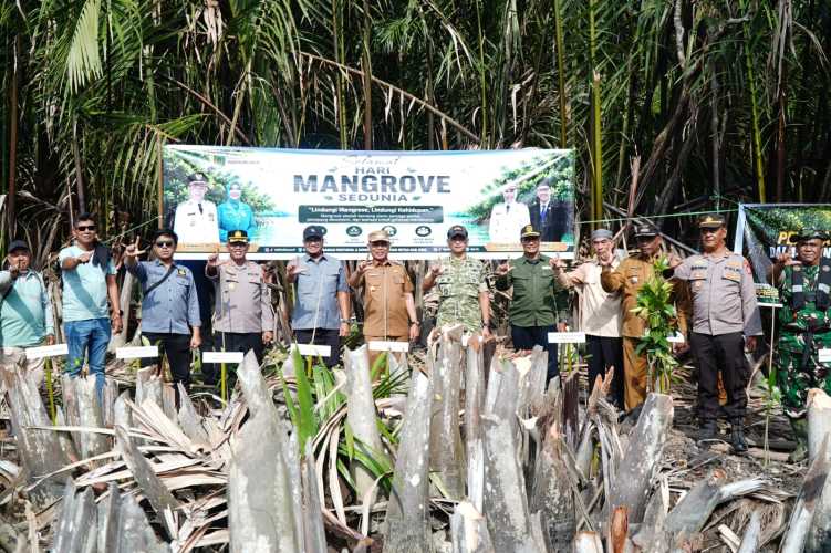 Peringati Hari Mangrove Sedunia, Dandim 0314/Inhil Bersama Forkopimda Lakukan Penanaman di Kuindra