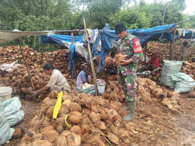 Babinsa Koramil 01/Tembilahan Gelar Komduk Bersama Petani Kelapa di Pulau Palas