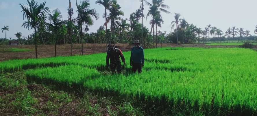 Serka Hepi Martison Meneruskan Program Ketahanan Pangan