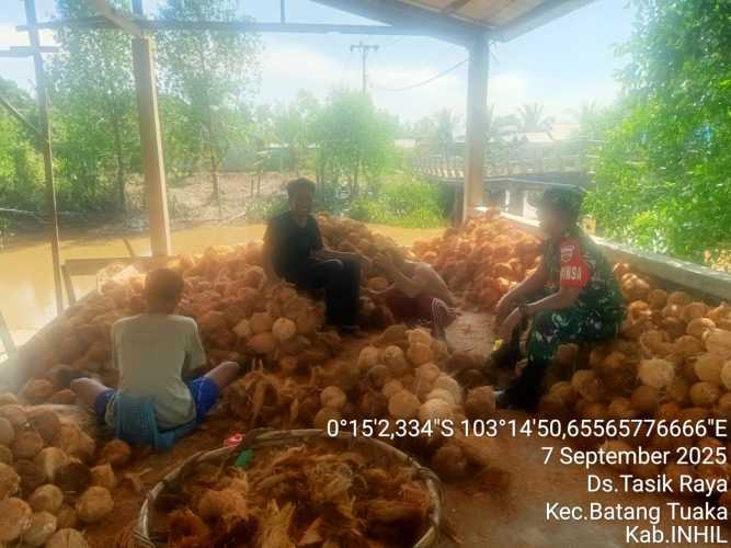 Babinsa Koramil 12/Batang Tuaka Berikan Nasihat Bijak kepada Petani Kelapa
