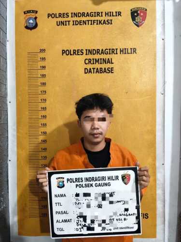 Polsek Gaung Ungkap Kasus Dugaan Tindak Pidana Pornografi di Desa Belantaraya