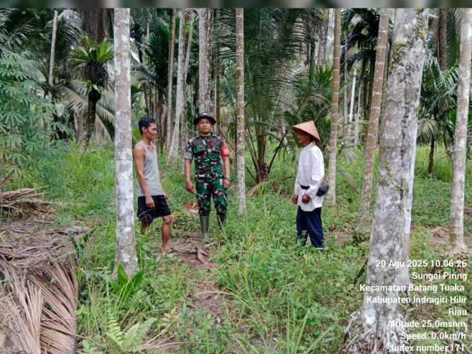 Babinsa Batang Tuaka Teruskan Lakukan Patroli Karhutlah Menyeluruh di Wilayah Teritorialnya