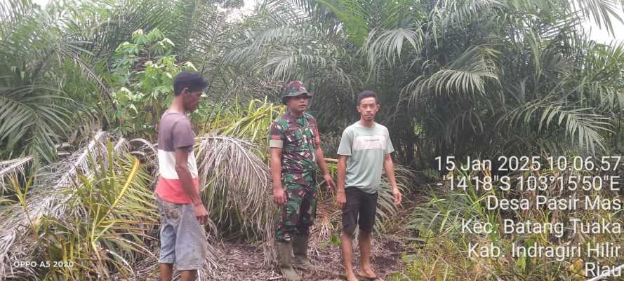 Patroli dan Sosialisasi Karlahut, Babinsa Koramil 12/Batangtuaka Edukasi Masyarakat