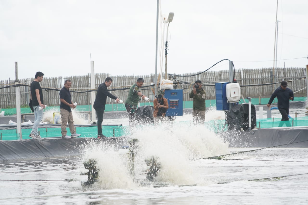 Pangdam III/Siliwangi tebar BIOS 44 DC Pada Tambak Udang Vaname di Cikalong