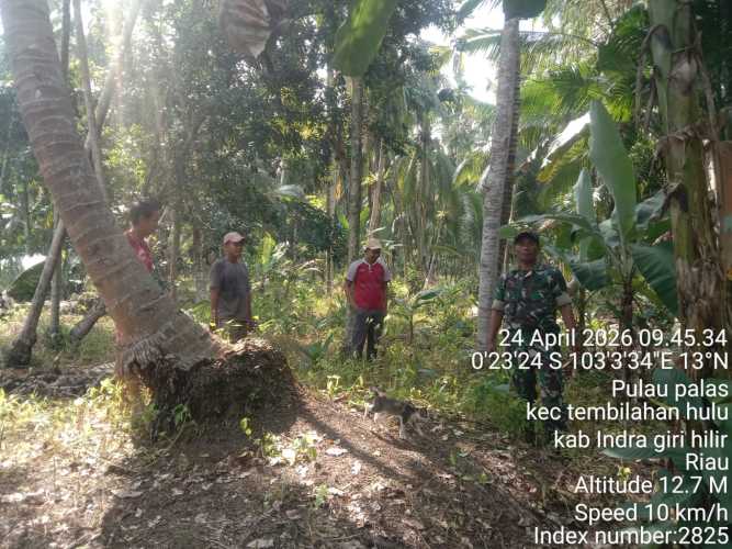 Danposramil 01/Tembilahan Laksanakan Patroli Topografi dan Bimbingan Tapal Batas di Desa Pulau Palas
