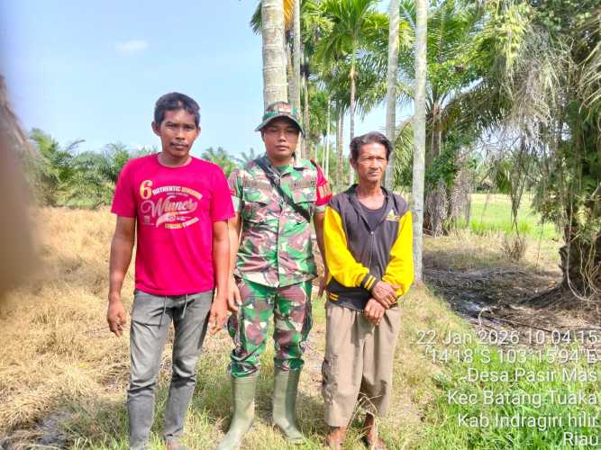 Babinsa Desa Pasir Mas patroli tapal batas serta identifikasi lahan perkebunan warga