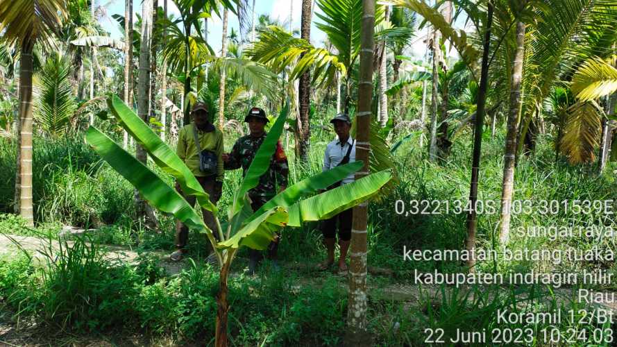 Serka Hepi Martison Bina  Kedaulatan Lahan Masyarakat dari Karlahut