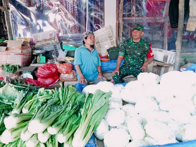 Babinsa Meninjau Pasokan Sayur Mayur di Wilayahnya