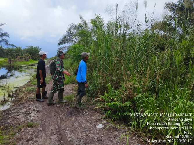 Babinsa Batang Tuaka Terus Memantau dan mengambil tindakan pencegahan terhadap potensi kebakaran hutan dan lahan