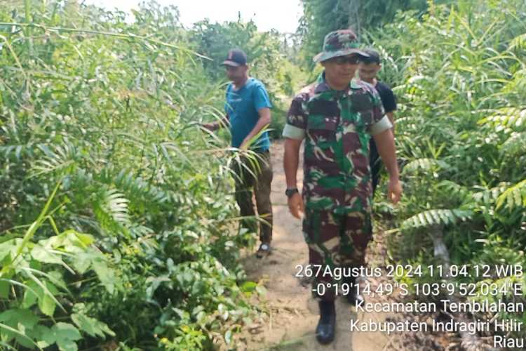 Sertu Anton Menjaga Kondisi Karhutlah Tidak Terjadi di Wilayahnya