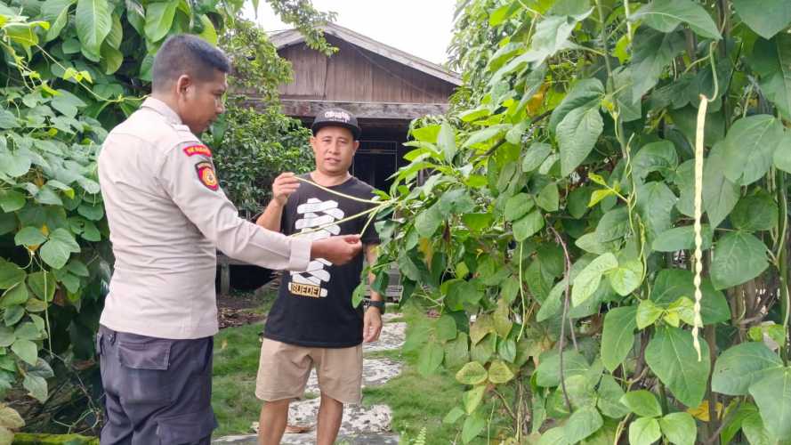 Manfaatkan Lahan Sempit, Polsek Enok Ajak Warga Enok Produktif Lewat Tanaman Pekarangan