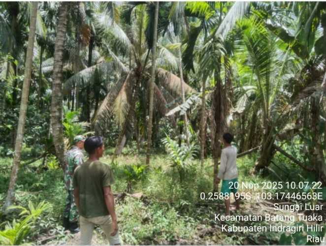 Babinsa Serda Syafrijon melaksanakan kegiatan sosialisasi sekaligus patroli tapal batas di Parit 4, Desa Sungai Luar