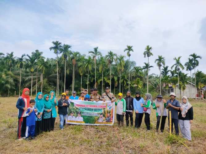 Pemdes Bagan Jaya Kecamatan  Enok Galakkan Penanaman Jagung untuk Ketahanan Pangan