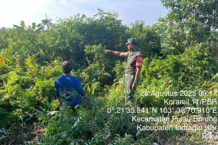 Babinsa Pulau Burung memeriksa setiap sudut dan potensi titik api