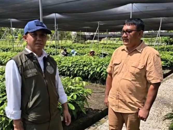 Menhut RI Raja Juli Antoni Ungkap Jenis Pohon untuk Rehabilitasi Tesso Nilo