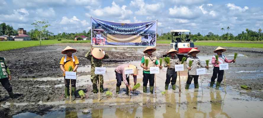 BPPSDMP dan BRMP Sukseskan  Gerakan Tanam Serentak Nasional, Dorong Petani Milenial Lewat Brigade Pangan di Inhil