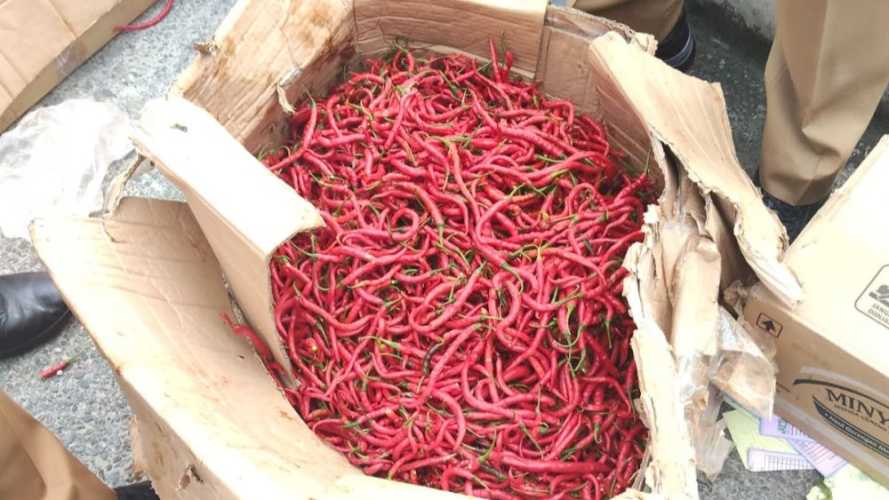 Pemprov Riau Datangkan 1 Ton Cabai Merah Dari Sleman, Dijual Rp58 Ribu per Kg