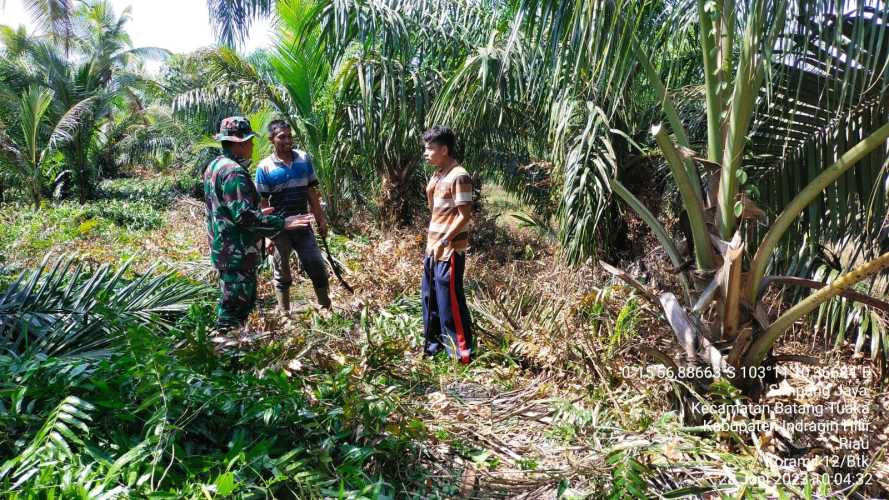 Babinsa Rekonsiliasi Dampak  Sosialisasi Karhutlah