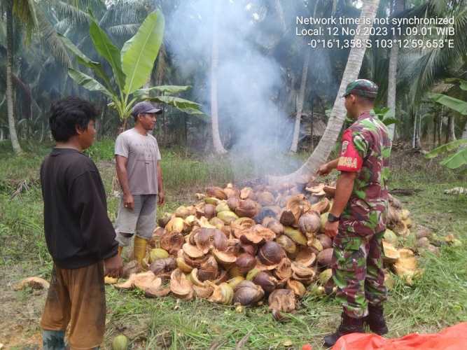 Melakukan Pembakaran Sabut Menjadi  Indikasi Penyebab Kathutlah