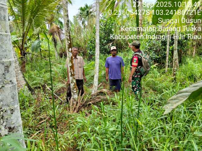 Babinsa Koramil 12/Batang Tuaka Menggelar  Patroli Perbatasan untuk Antisipasi Gangguan Kamtibmas dan Sengketa Lahan di Batang Tuaka